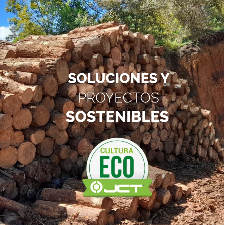 culturaeco-09